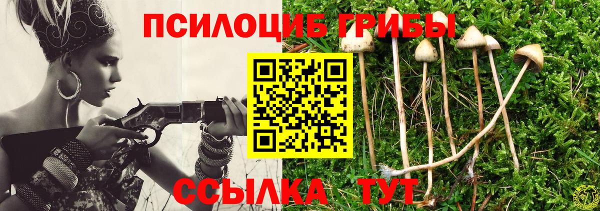 Галлюциногенные грибы прущие грибы Усть-Джегута