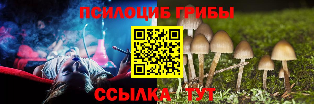 Усть-Джегута  Галлюциногенные грибы Psilocybe  Псилоцибиновые грибы MAGIC MUSHROOMS  Вход с VPN 